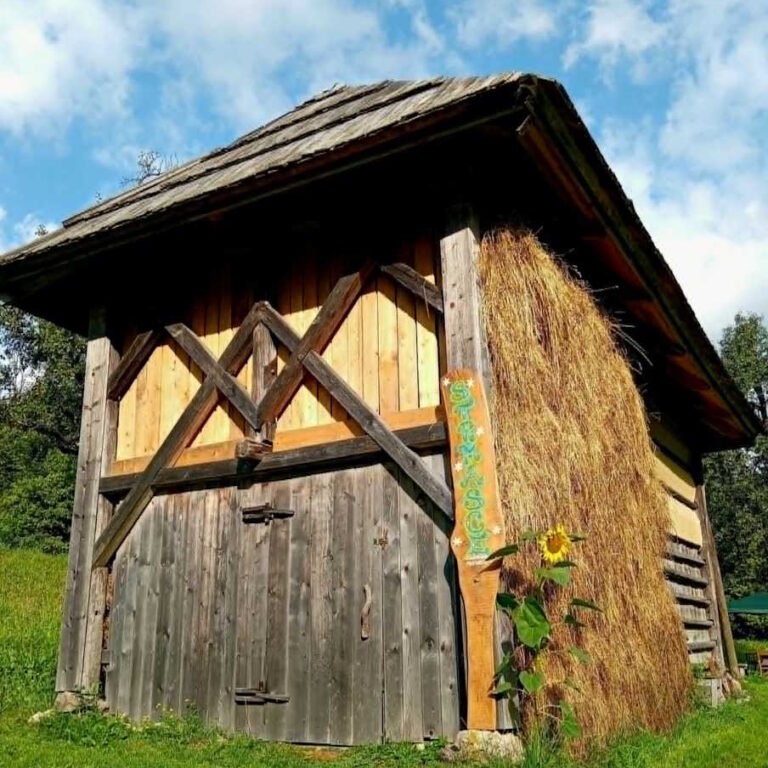 OBJEM NARAVE 2 Mina Kunstelj Zvok tišine zvoktisine.si