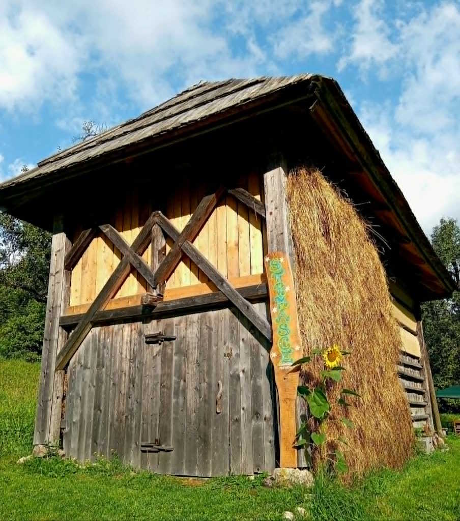 OBJEM NARAVE 2 Mina Kunstelj Zvok tišine zvoktisine.si